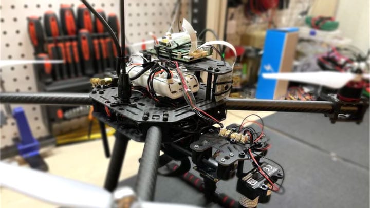 First Place Image